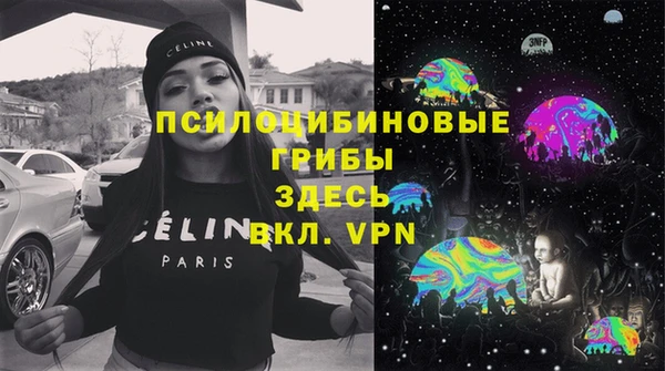 PSILOCYBIN Абдулино