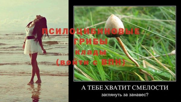 PSILOCYBIN Абдулино