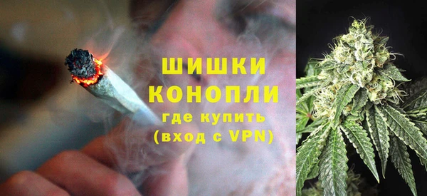 PSILOCYBIN Абдулино